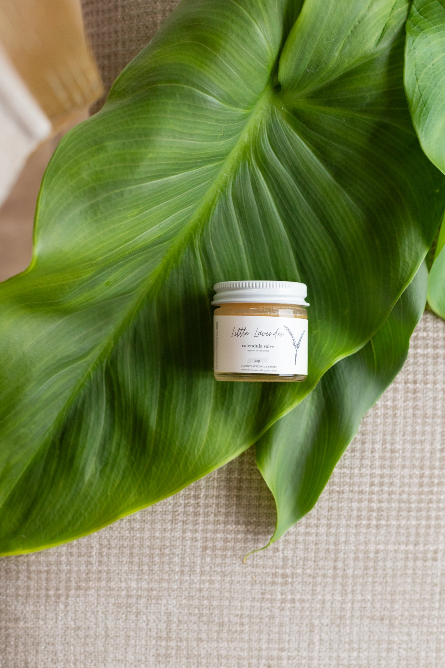 Calendula Healing Salve