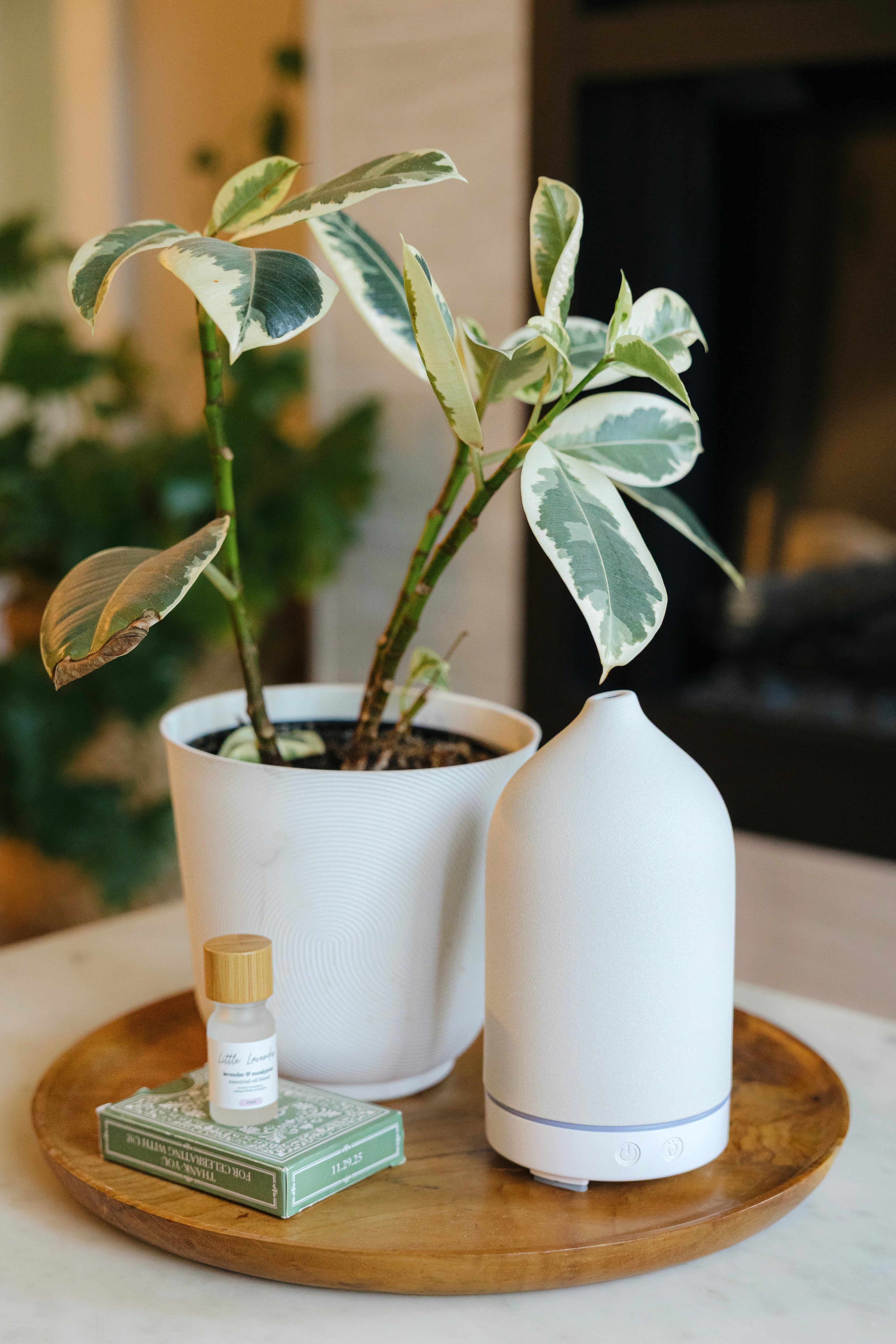 Ceramic Diffuser